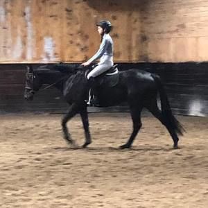 Meet your Posher, Barb